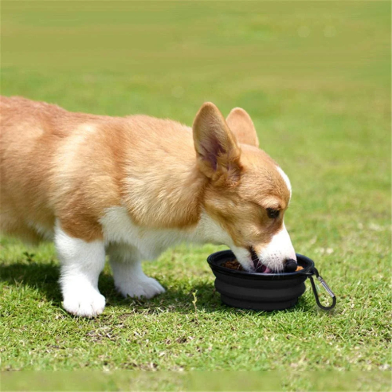Pet Setter™ Portable Water Bowl