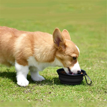 Pet Setter™ Portable Water Bowl