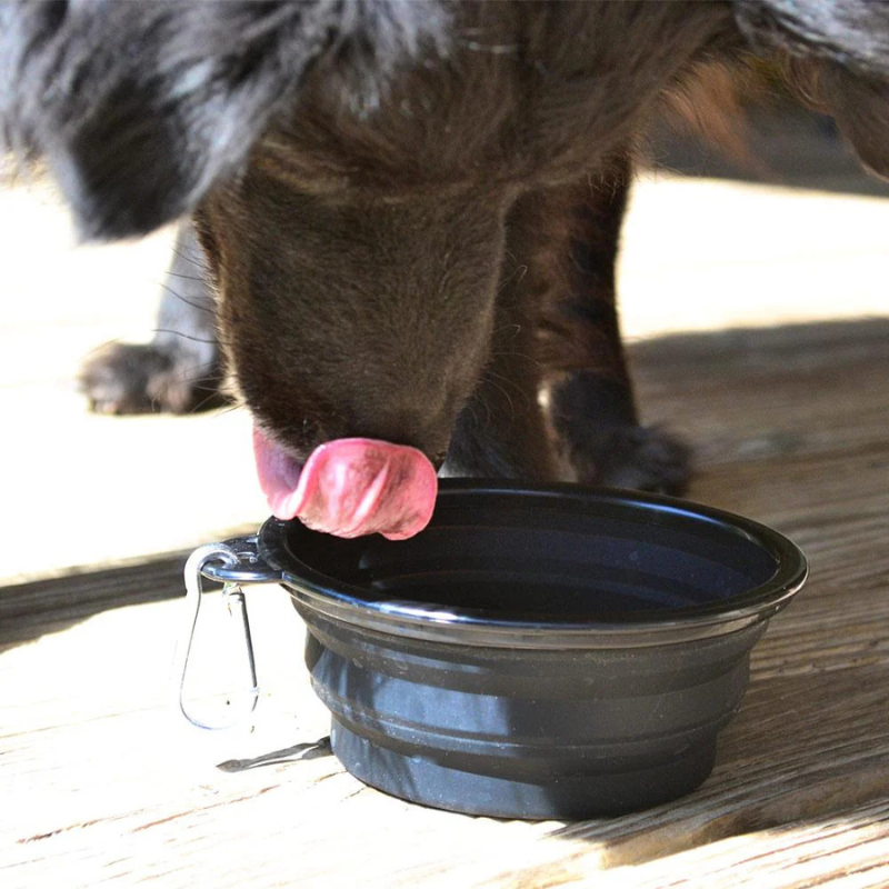 Pet Setter™ Portable Water Bowl
