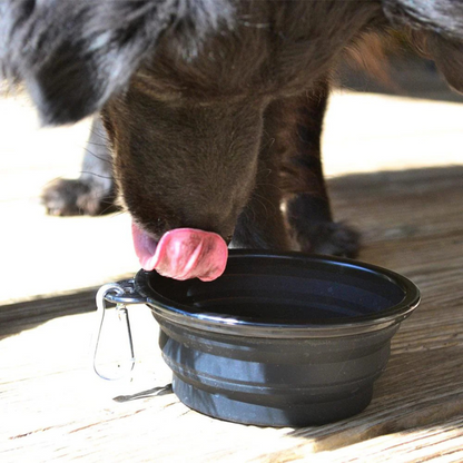 Pet Setter™ Portable Water Bowl