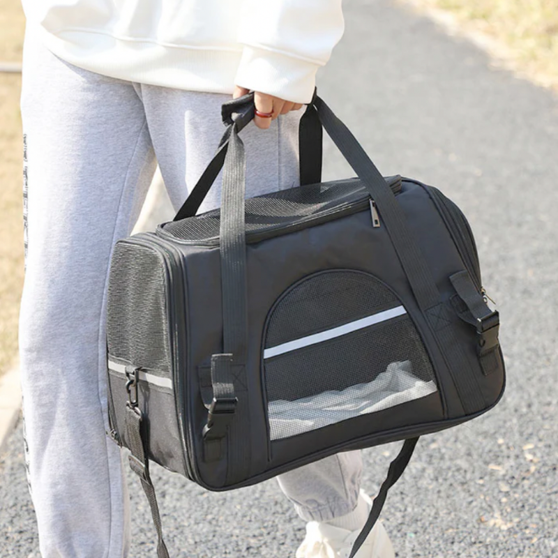 Pet Setter™ Premium Travel Carrier