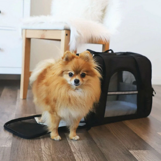 Pet Setter™ Premium Travel Carrier